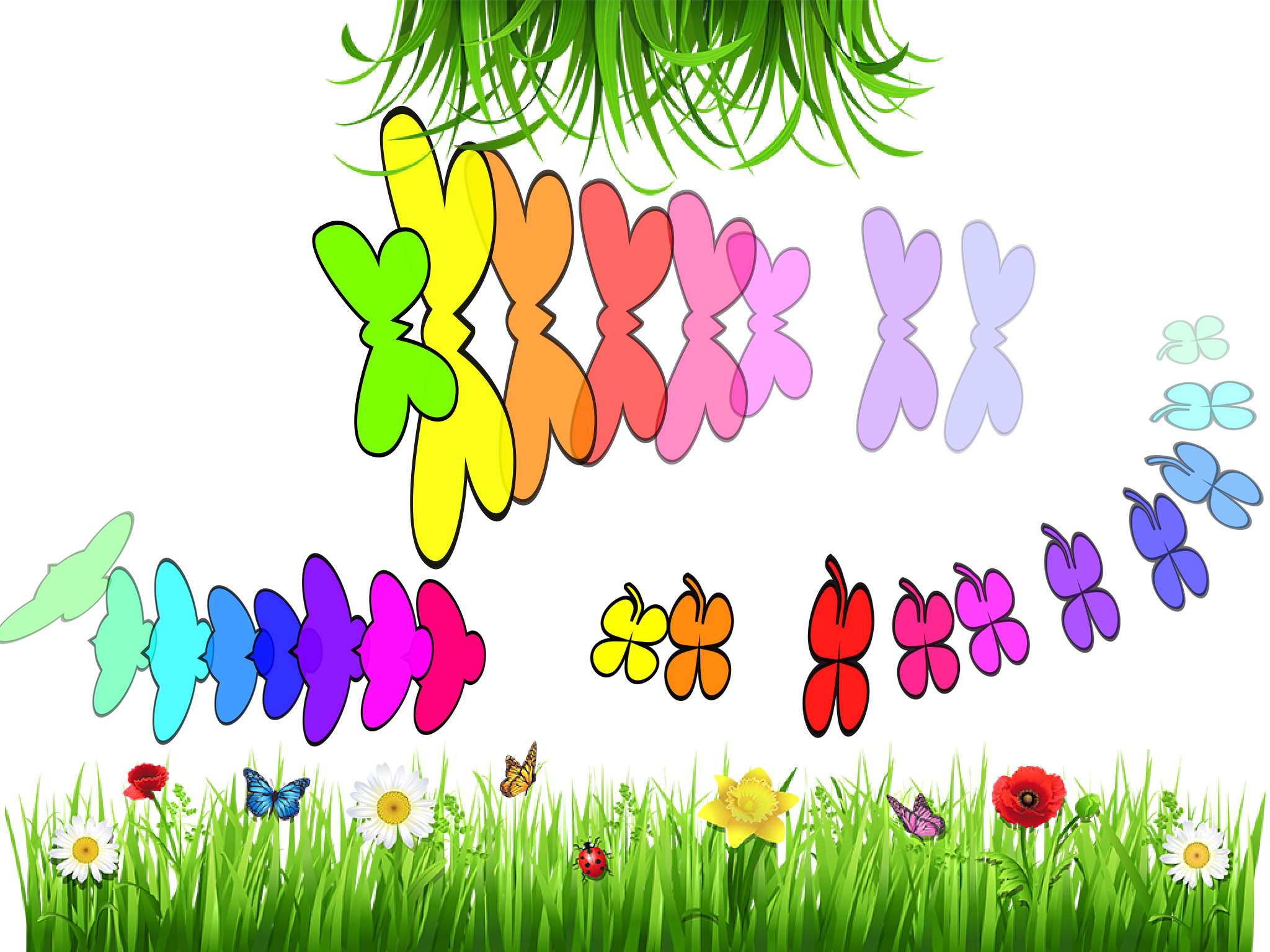 4Toddler App